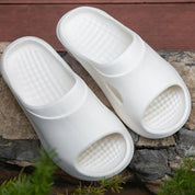 683320d5-d9f6-40ba-8b49-62845d3fe99d-Max-Origin